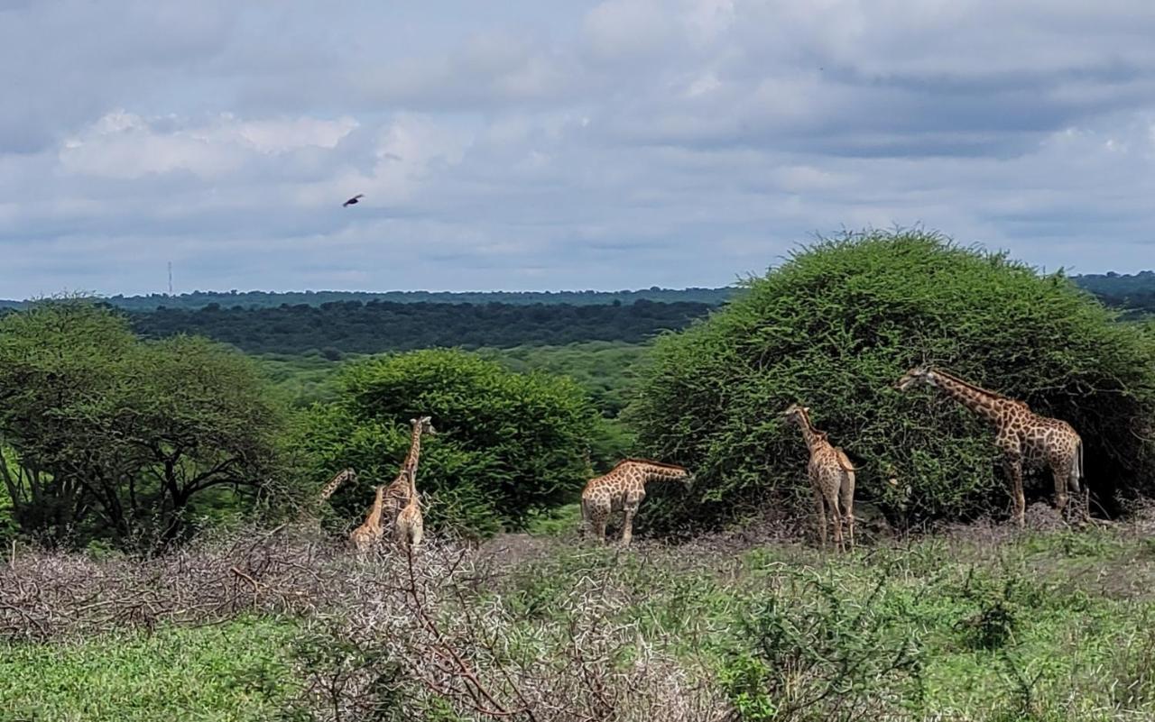 Motlala Game Lodge هويدزبروت المظهر الخارجي الصورة